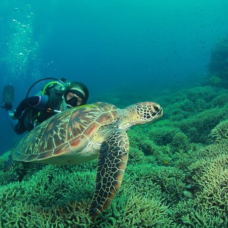 Bongo Bongo Divers Dauin Dış mekan fotoğraf