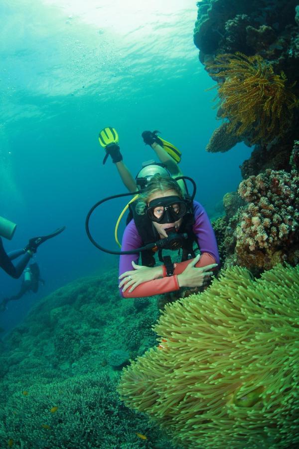 Bongo Bongo Divers Dauin Dış mekan fotoğraf