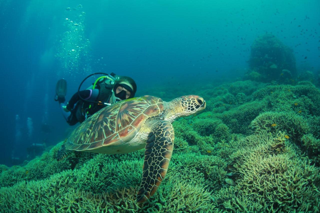 Bongo Bongo Divers Dauin Dış mekan fotoğraf